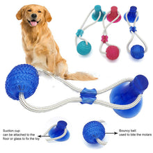 Load image into Gallery viewer, Multifunction Pet Molar Bite Toy  Interactive fun Pet toy with suction cup dog push toy